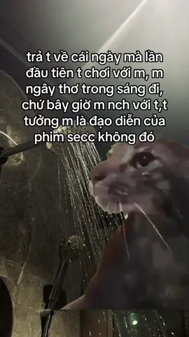 trả bạn t đâyyyy #xuhuong #fyp #viral 