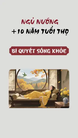 Ngủ nướng 1 ngày, thọ thêm 1 tuổi #biquyetsongkhoe #cothekhoemanh #learnontiktok2025 #meohay #lanhmanh #songtho #songkhoe247 #kienthuchay #phongbenh #benhtat #duongsinhdongy #duongsinh