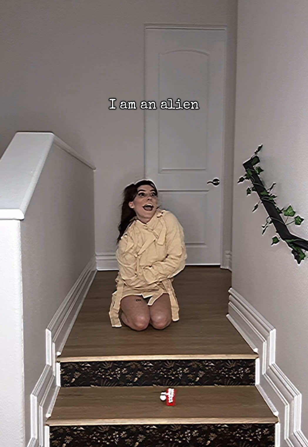 Who can tell me the storyline to this? 👁️👄👁️ #weirdcore #dreamcore #skit @madilyn𓆏mei 