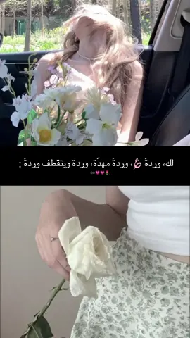 وردةَ وبتقطف وردةَ 🌷💗. #ستورياتي١ #اكسبلورexplore #متابعه #fyp 