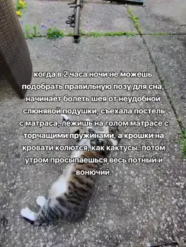 как это контрить? 😭