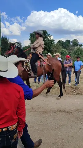 #corridadecinta #ranchohumilde  #caballos🐎🤠 #ferias #♥️😍🐎 #bellezas🐴 #patatiiiii 