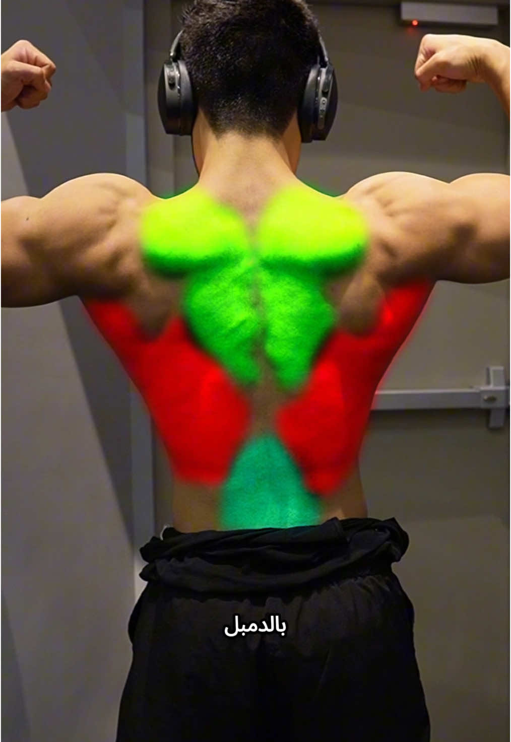 تمرين ظهر كامل بالدامبل . . #gym #workout #dumbellworkout #backday 