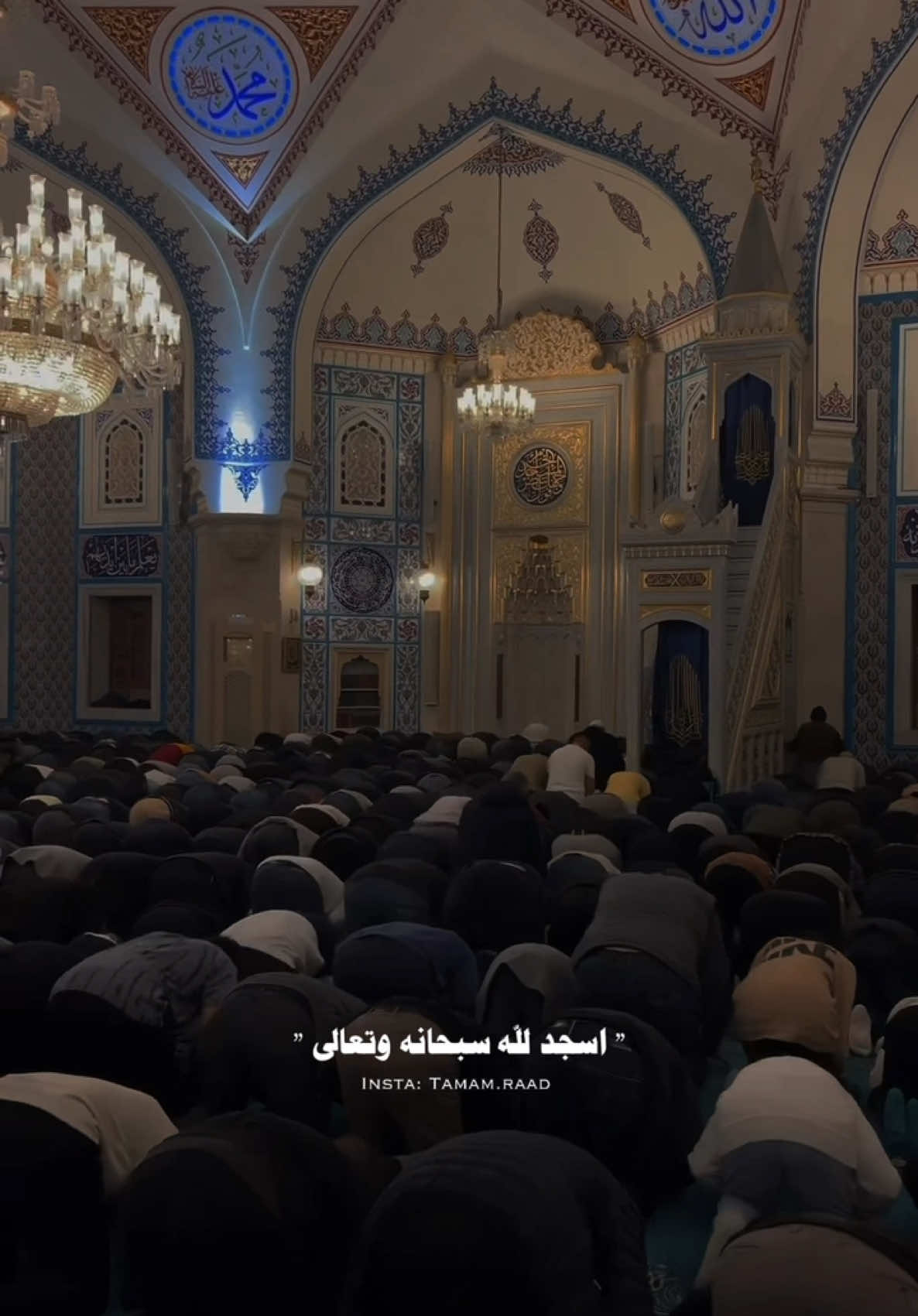 اذا ضاقت بك الدنيا اسجد لله ❤️‍🩹 #الصلاة #لايك #اكسبلور #موعظة #ديني #سوريا_لبنان_الكويت_قطر_البحرين_الاردن_فلسطين__مصر_السعودية_دبي_العراق_الجزائر_تونس_بغداد_الوطن_العربي #instagood #fyp #turkey #اكسبلور_explore #اكسبلور_العراق_السعوديه_الاردن_ايران_الكويت_طق_لايكات_كومنت_يلاا💙