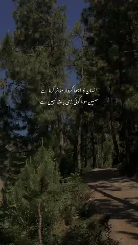 Relateable?❤️‍🩹 #poetrylover #nature #urdupoetry #relateable #thoughts #2am