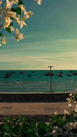 Một phần của trưởng thành chính là bạn không ngừng nói lời tạm biệt với những điều thân quen, không ngừng chia xa những người thân thuộc, làm những việc trước nay chưa từng làm, yêu một người dù có thể sẽ chẳng đi đến đâu. Một số chuyện không làm thì khó chịu trong lòng, làm rồi lại thấy bản thân thật ngốc nghếch. Bất luận sau này gặp gỡ ai, cuộc sống luôn bắt đầu từ việc gặp gỡ chính bản thân mình. #sony #sonyalpha #travel #cinematic #muikega