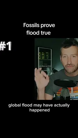 It would also make sense and even strengthen our argument when they say that 