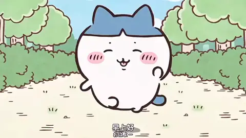 Happy Hachii collection. #chiikawa #hachiware