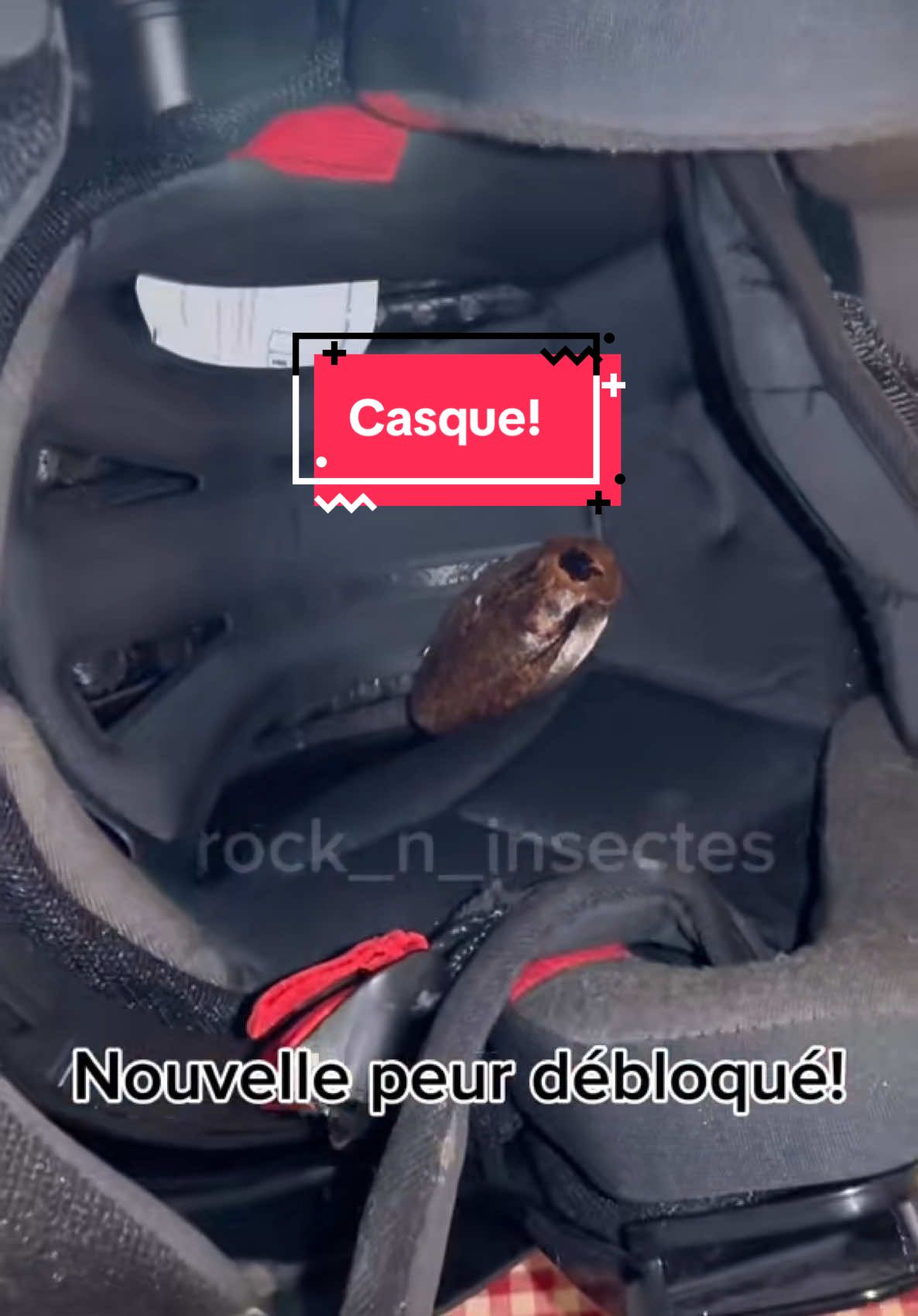 Les beaux jours arrivent, envoie ça à celle ou celui qui va avoir besoin de mettre son casque! Il s’en souviendra…😅👌 #prank #moto #mobylette #casque #gpramponi