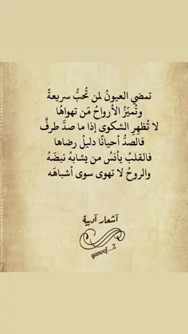 #أبيات_من_الشعر #أدب_عربي #تيك_توك 