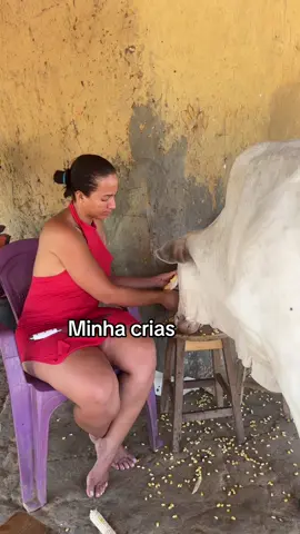 Minhas crias #RegistroDevida #tiktokviral 