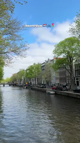 spring in amsterdam 🚲🌷 #travel #traveltiktok #traveltok #amsterdam #netherlands #holland #spring #springbreak #bike #tulipseason #tulips #flowermarket #europe #eurostar #traveling #stroopwafel #frites #fabelfriet #Foodie #fyp 
