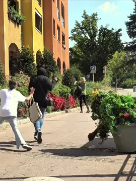 #bushmanprank #bushman #bushmanpranks #prankvideo #funnyvideos😂 #scary #scareprank #pranks 