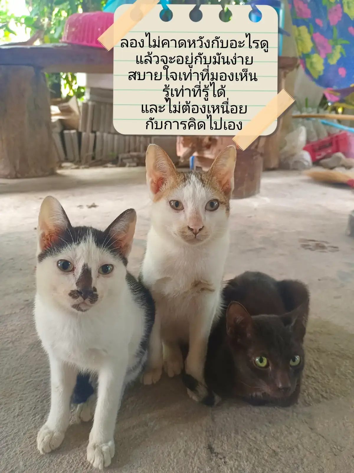ลองไม่คาดหวังกับอะไรดู แล้วจะอยู่กับมันง่าย สบายใจเท่าที่มองเห็น รู้เท่าที่รู้ได้ และไม่ต้องเหนื่อยกับการคิดไปเอง