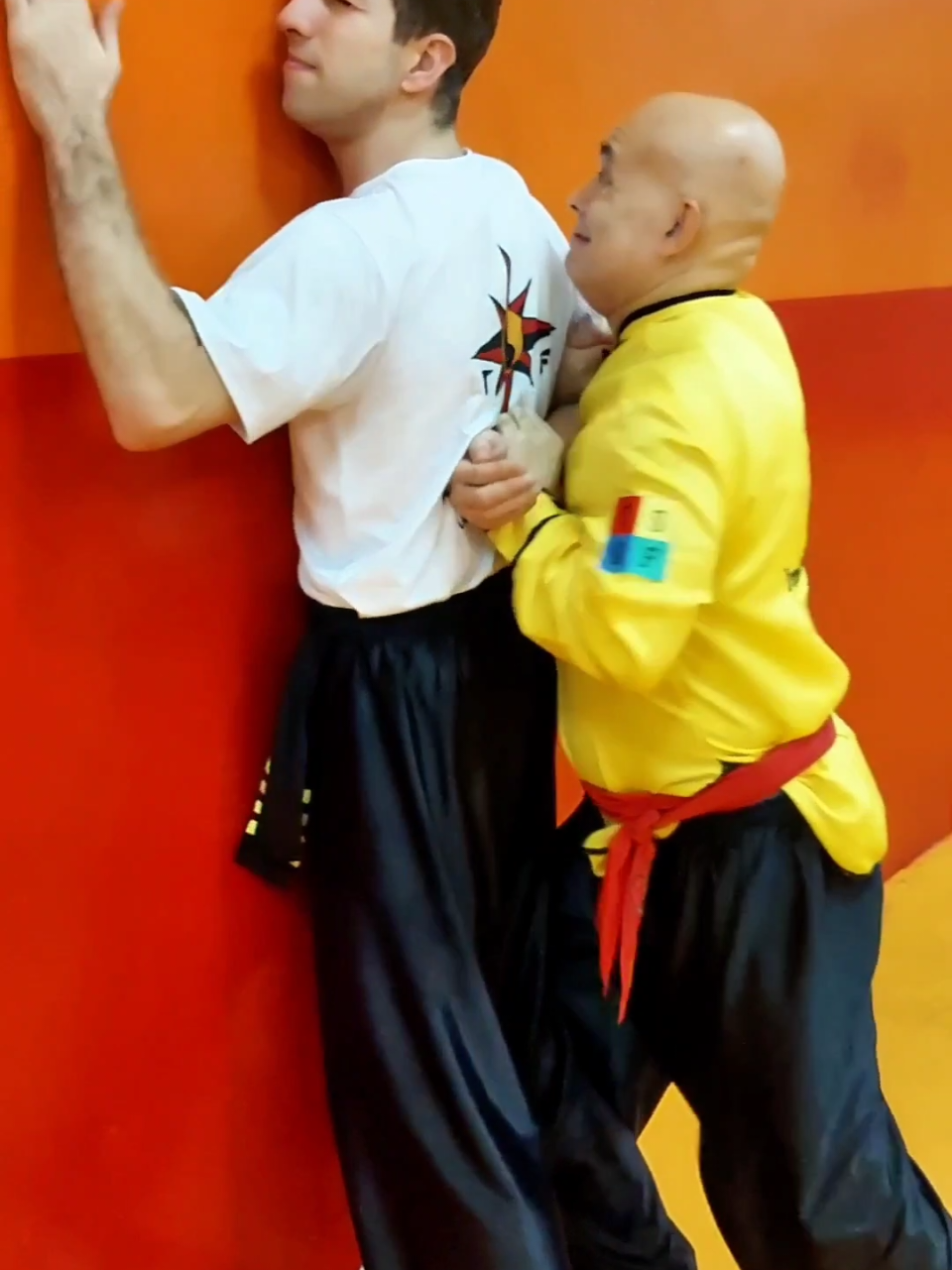 #tskf #kungfu #wushu #artemarcial #artesmarciais #defesapessoal #shaolin #chikung