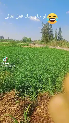 #العيال هتموت على الدولي#👌 #