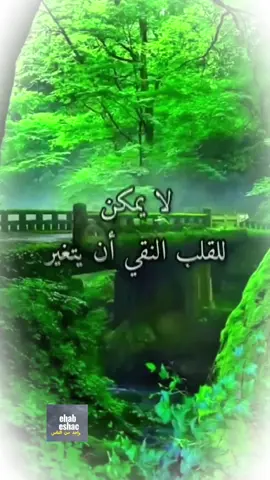 #CapCut #احساس #ايامنا_الحلوة #اقتباسات #خواطر #الحياة @✍🏻واحد من الناس🕊️ 