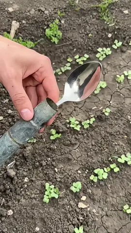 good idea #FarmFresh #farmer #EcoFarm #villagelife #AgricultureNepal #usa #agriculture #nepalifarmer #farming 
