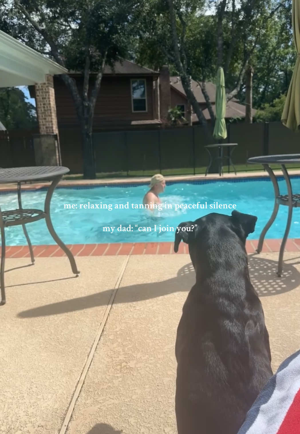 I fear he has truly never known a moment of peace  #funny #dadsoftiktok #dadsbelike #dadsanddaughters 