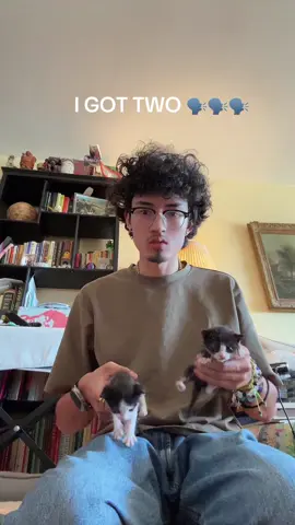 should i name them plug and load @isasofiabatista 