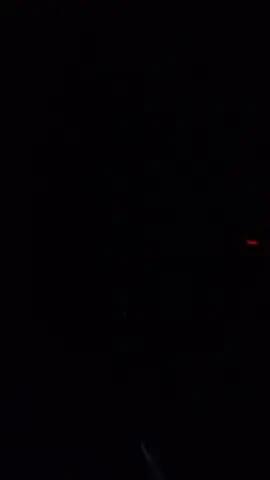 совсем оборзел !! Если будете снимать такое видео, отмечайте меня, буду лайкать) #холодильник #тебекторазрешалвхолодильниклазить #ночью #собака #джекрасселтерьер #тренд #прикол 