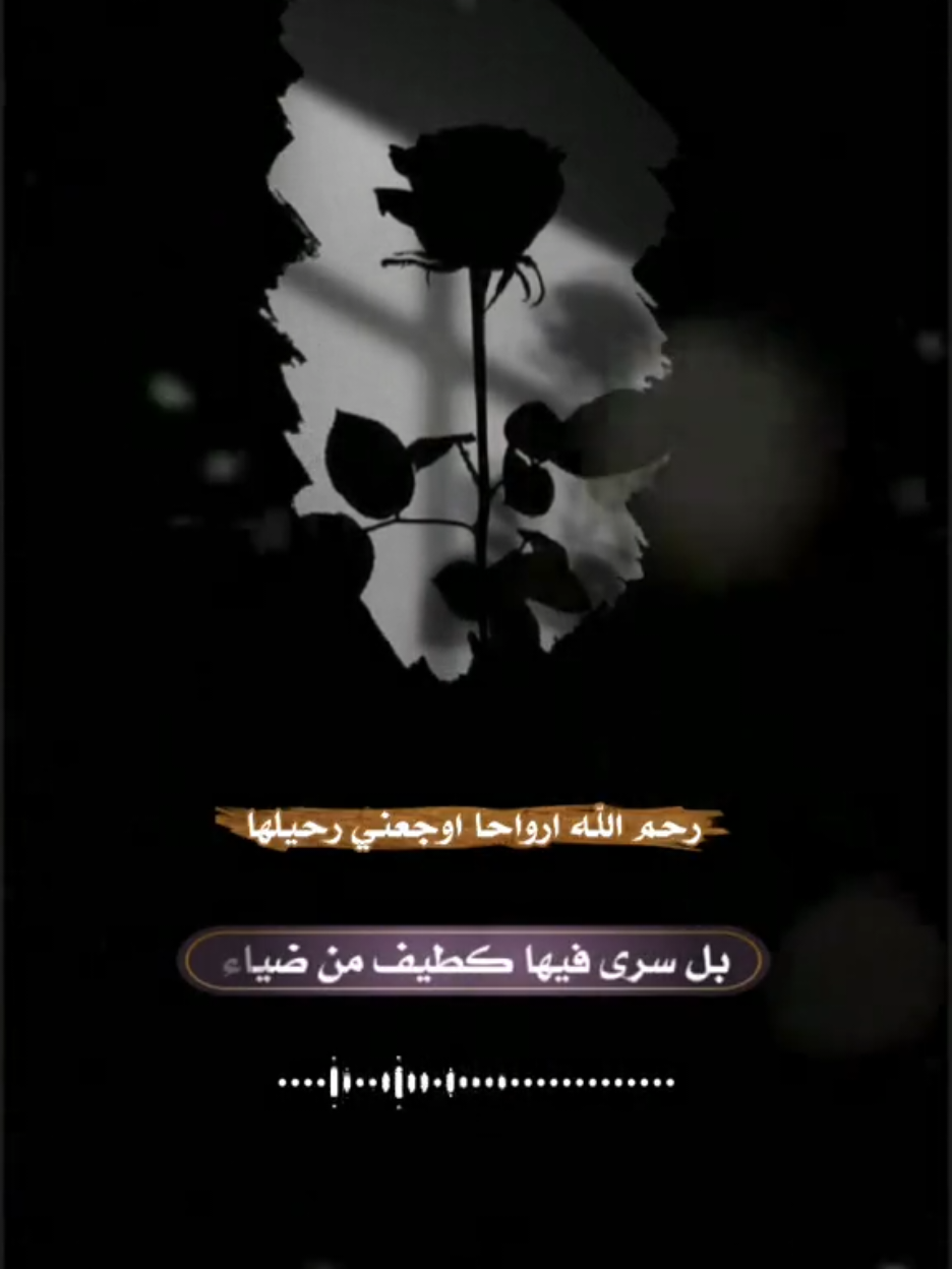 #أناشيد_متنوعة #أناشيد_اسلامية #أناشيد_بدون_إيقاع #أناشيد_بدون_موسيقى #أناشيد #نشيد #أنشودة #لا_اله_الا_الله #محمد_رسول_الله #اللهم_صل_وسلم_وبارك_على_نبينا_محمد #هاشتاق #هاشتاك #اكسبلورexplore #في هذا اليوم #في هذا اليوم 
