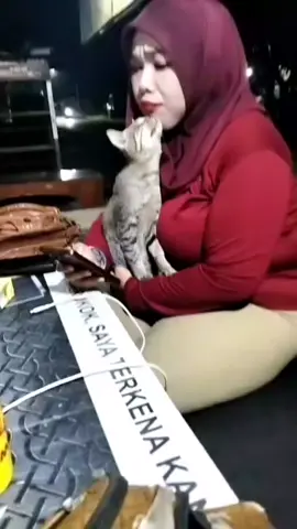 April 28 2025 🐱🐱🐱🐱🐱🐱🐱🐱