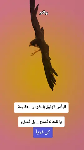 كن قوياً 