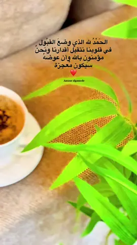 #fyppppppppppppppppppppppp #اكسبلورexplore #الشعب_الصيني_ماله_حل😂😂 #رواقي #الزهراء_ورشفانه_الحشان🤘❤ #ورشفانه_العزيزيه_الزهراء_الحشان_الساعديه 