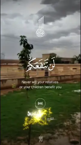 جزء 53 | ﴿ إن يوم الفصلِ كانَ ميقاتا ﴾ #وقال_ربكم_ادعوني_استجب_لكم #استغفر_الله_واتوب_اليه #اذكروا_الله_يذكركم #احمد_العجمي🍃 #قران_كريم  .#ارح_قلبك_المتعب_قليلاً🤍💫  . . #مـآشـآءآللهہ @عبد الجاسم 