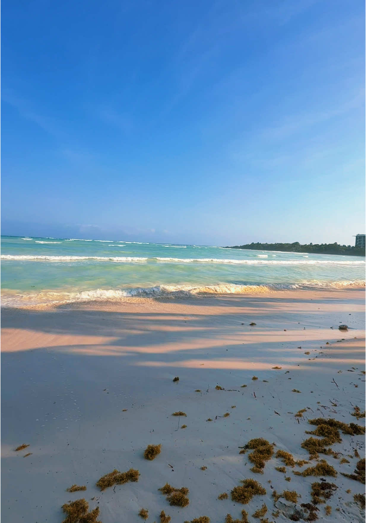 Bello mar caribe 😍  #playa #paratiiiiiiiiiiiiiiiiiiiiiiiiiiiiiii #tiktokviral 