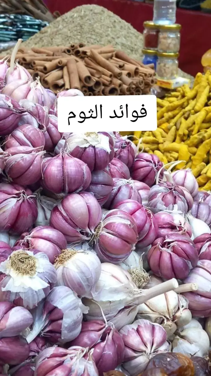 فوائد الثوم #علاج_طبيعي #فوائد_صحية #صحة_تغذية #طبيب #فوائد #دكتور #معلومات #اكسبلور #اللهم_صلي_على_نبينا_محمد #foryoupage #helthy #hype #fypdong #fypdong 