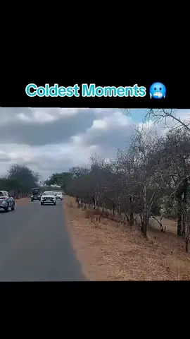 #cold #fyp #viral #coldestmoments 