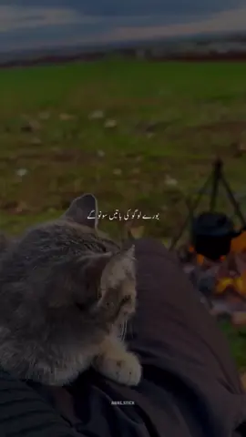 BUTY LOGON KI SOBAT..🥺🥀🕊️#sadpoetry #foryoupage #urdupoetry #husnain_writes_30 #viral #unfrezzmyaccount #10klikes #10kviews plz