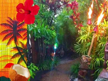 tropideco🌺🌴🍍🥥 #moodboard #tropical #tropideco #hawaii #2000s #mood #board #viral #fyp #foryoupage #capcut #edit #hawaiian #coconut #flowers #hibiscus #parrot #tree #xyzbca #abcxyz #fypシ #fyppppppppppppppppppppppp #fypシ゚viral #viralvideo 
