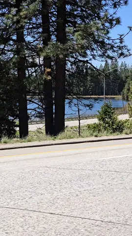 #walmarttruckdriversoftiktok #truckdriving #truckers #truckertok #trucklife #walmarttruckdriversoftiktok #walmarttrucker #walmart #walmartfinds #truckstops #truckersoftiktok #truckerlife #fyp #trucks #truckdriving #truckers #truckertok #trucklife #walmarttruckdriversoftiktok #walmarttrucker 
