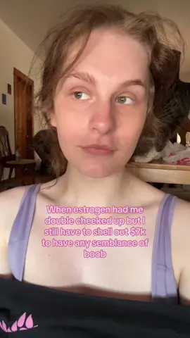 Like???  #fypシ #fyp #silly #unhinged #sillyposting #estrogen #dollsoftiktok 