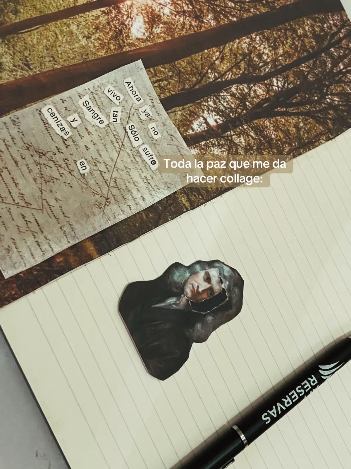 #collage #creative #fyp #textorojo #desahogo 