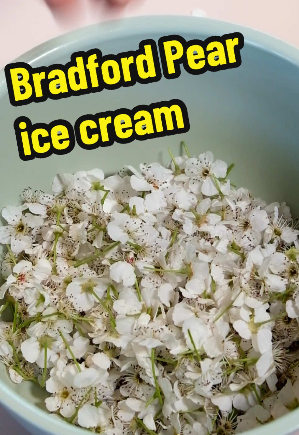 I regret everything, but it simply had to be done in the name of tree ice cream science. #trees #woodworking #icecream #foraging 