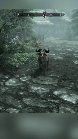 O bode de Skyrim tem Alzheimer