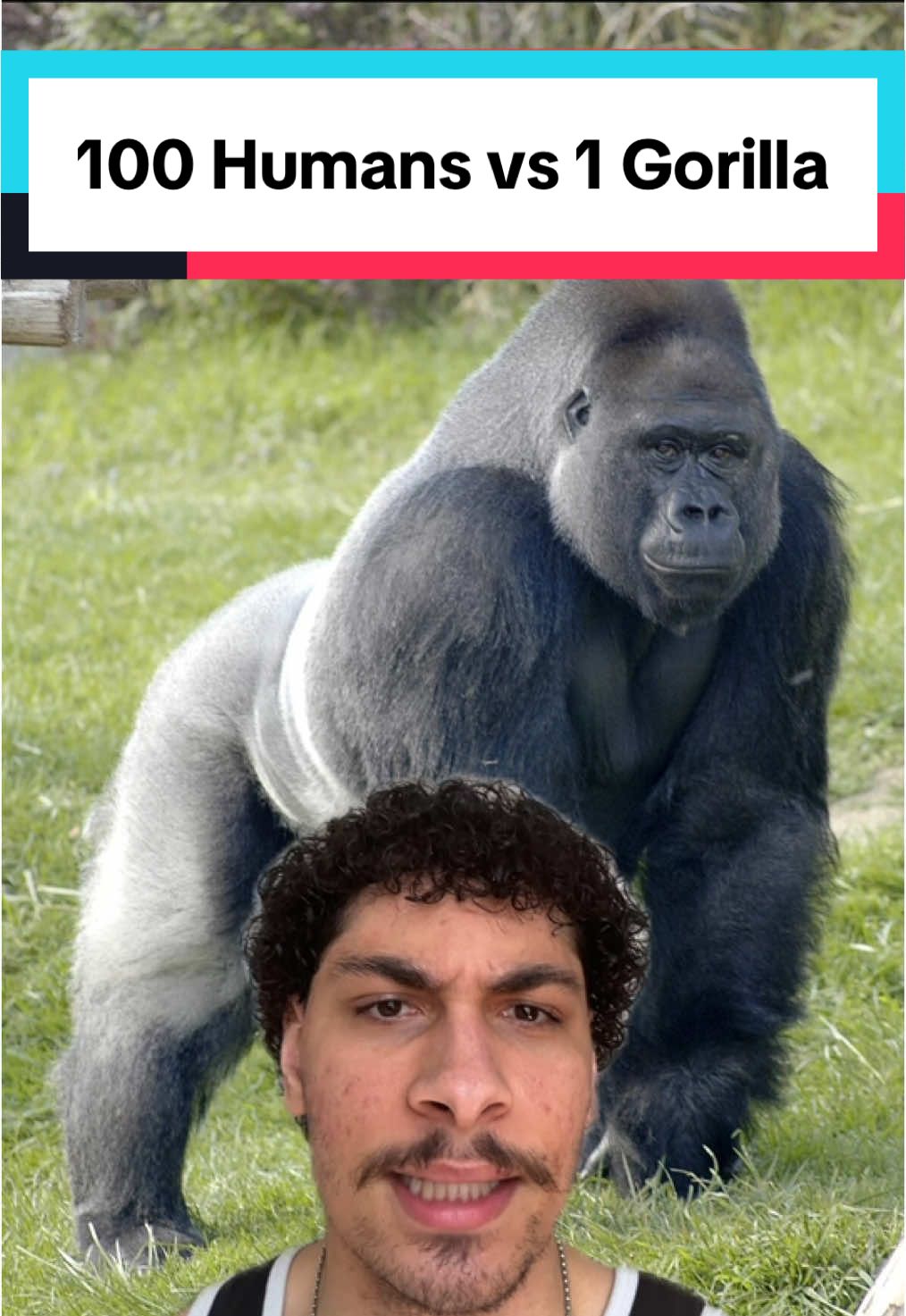 Guys… #gorilla #movietok #versus #fyp #greenscreen 