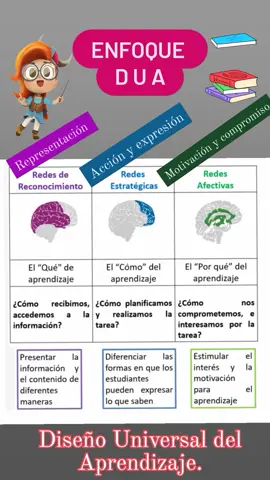 📝Bases principales del ENFOQUE DUA.👨🏻‍💻📣🖊️#educacionbasica #primariaysecundaria #docentes #mineduc 
