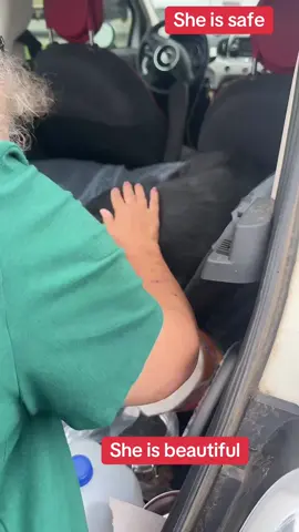 @metexas10  thank you for helping us a giving her a second chance #tiktoklive #livehighlights  #foryou #fyp #dogs #rescue #rescuedog #dogrescue 