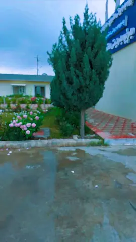 هاتوچۆی شارەزوور