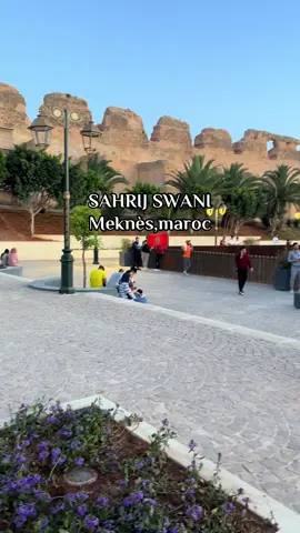 #maroc #meknes #marocaine🇲🇦 