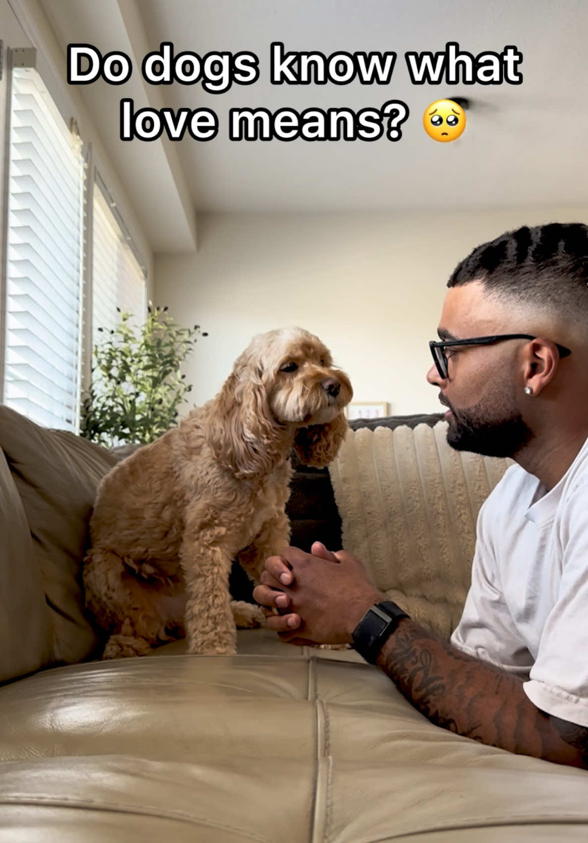 I think that answers it 🥺 #dogsoftiktok #doglove #puppylove #dogs #cutedog #Love #doglover 