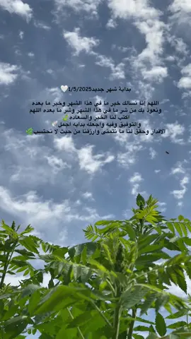 🤍🌿…