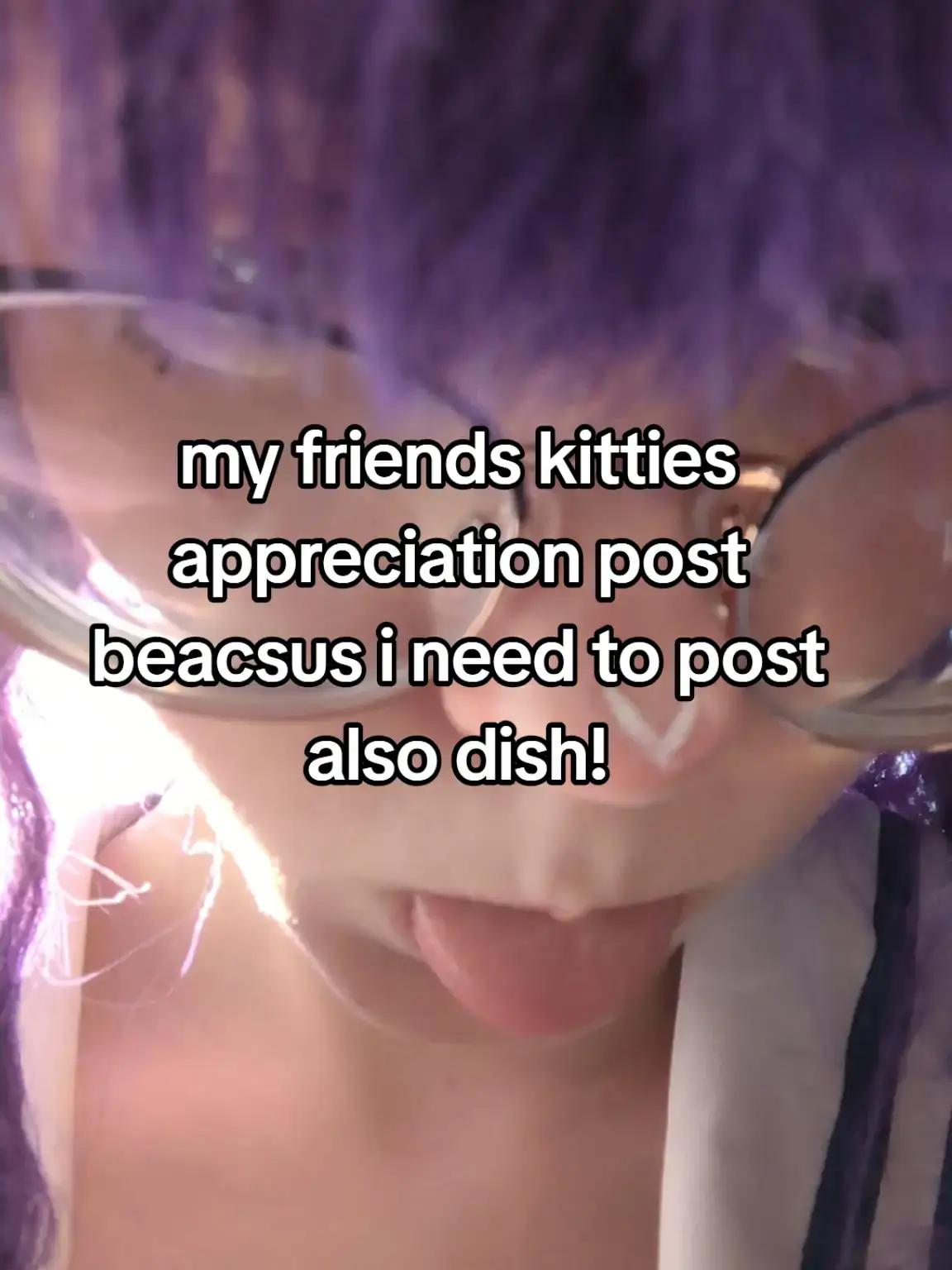 I love my friends cats (soon to be mine.) but shhh #yay #kitties #meow #cat #kitty #meowmeow @༺ღ༒  KIYO!! 🍉 ༒ღ༻ @┊͙ ˘͈ᵕ˘͈ yvette !! 🚦 @⟢✦ 𝕹𝖊𝒙𝒙𝖎𝖊 ✦ @dish 🌹 @✰ 𝙽𝚒𝚔𝚘𝚖𝚞𝚜𝚝𝚍𝚒𝚎 ᯓ @dish !! 🏛️🌱 