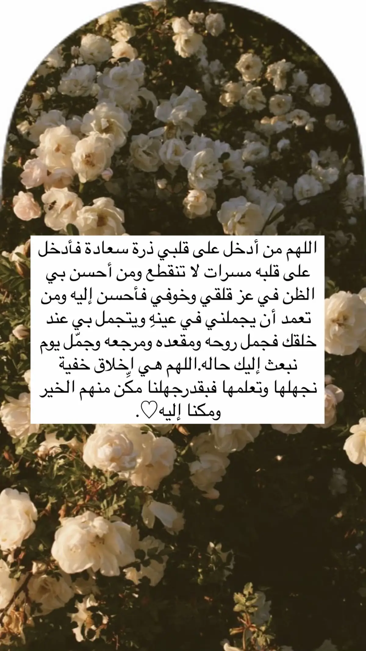 #صباح_الخير #آمين_يارب_العالمــــــين #صباح_الخير #الانتشار_السريع_الطائف #بودكاست #الانتشار_السريع_الطائف #مالي_خلق_احط_هاشتاقات #ترند_تيك_توك #الاصدقاء__الحقيقيون #مساء_الحب_والسعاده #الانتشار_السريع #flypシ 