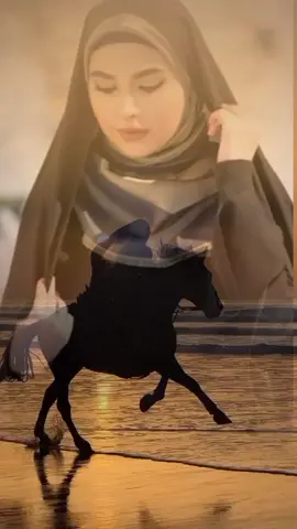 لم أتغير 👈✋@Capcat#Hala_madred#fyppppp#good#B#foryou#fypage #fypシ゚viral🖤tiktok #hala_madred🤍🤍 #fypシ゚ #الشعب__الصيني_ماله_حل😂😂😂 